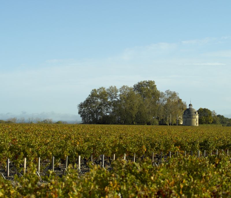 terroir latour