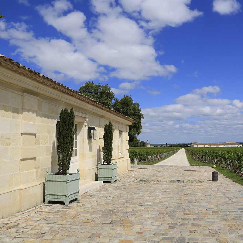 Château Latour — Château Latour in Ratatouille