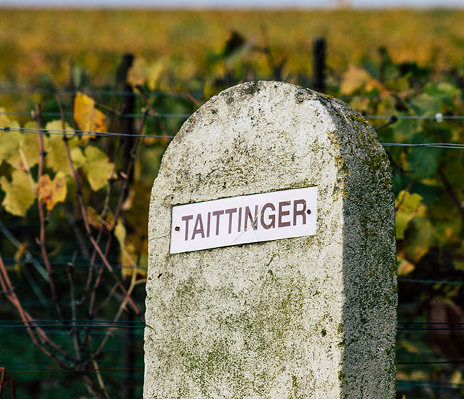Taittinger — Chardonnay