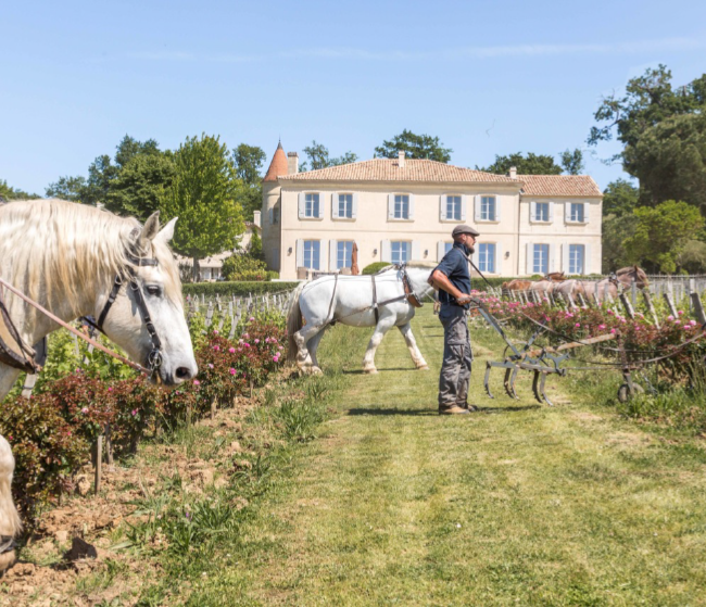 Troplong Mondot — Uitzonderlijke kwaliteit